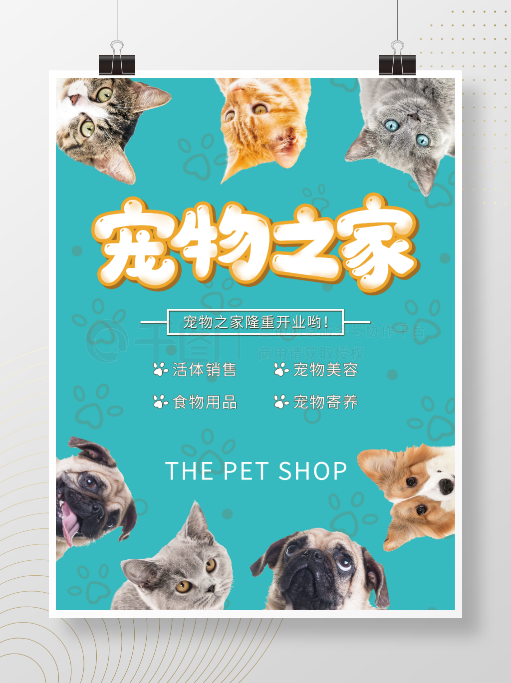 宠物之家 一站式宠物用品精品店