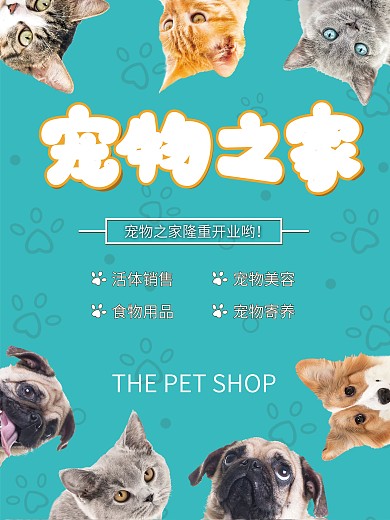 《宠物之家图片 不仅仅是展示，更是温暖的视觉共鸣与用品销售策略》