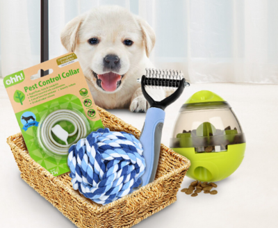 快手小店宠物用品类目上架指南 定向邀约流程与销售要点