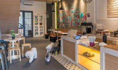 宠物店利润分析 宠物用品销售的盈利空间与前景