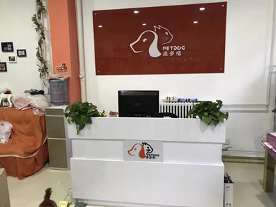 宠物连锁店的利润核心 解读宠物用品销售背后的商业逻辑