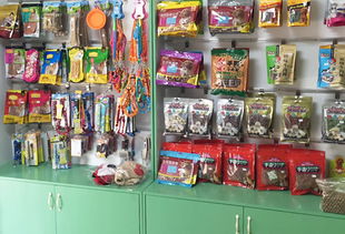 圣宠龙泉佳和铭都宠物连锁店 一站式宠物用品销售与服务典范