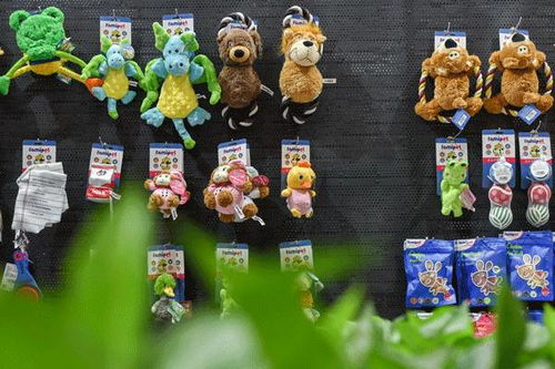 暖冬爱心义卖 精选宠物用品半价，与爱宠共度温馨时光